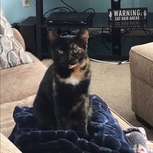 Meet your Posher, Gina